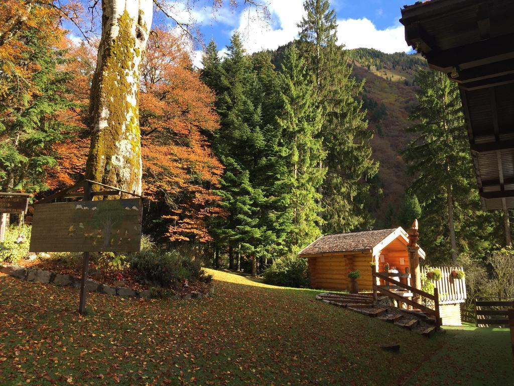 Chalet Al Faggio Guest House Lenzumo di Concei Exterior photo
